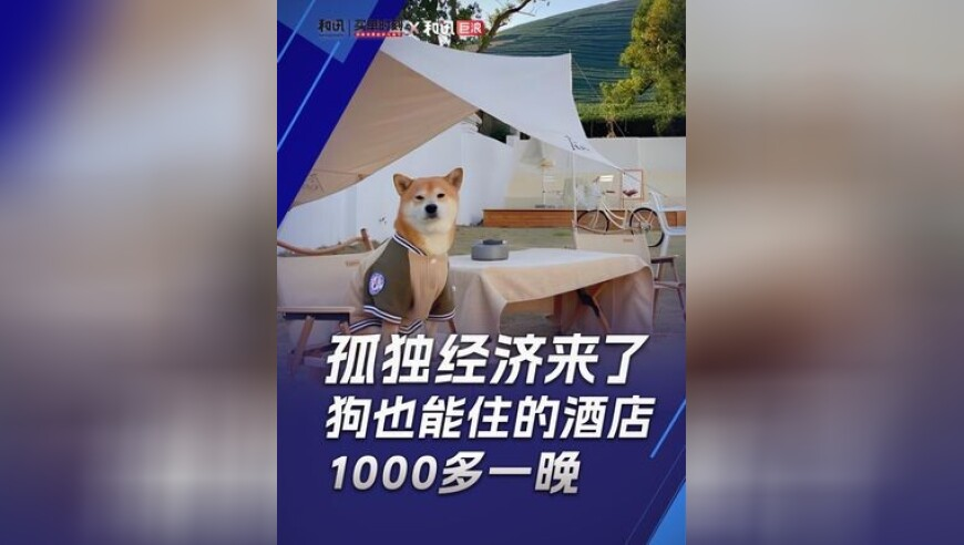 缅甸领导人慰问中国救援队伍,小鱼儿二站玄机开奖结果40057,权威独家讨论与热门话题_创新版V15.85