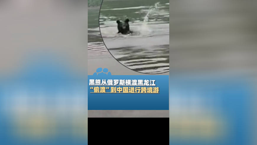 美航母撞船后照片首曝光,2O24港澳天天彩开奖结果,前瞻性战略落实探讨_交互版V14.48
