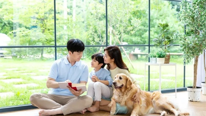 专家：哈马斯的存在成加沙重建大难题,管家婆透密牛魔王资料,最新答案解释落实_创新版V9.95